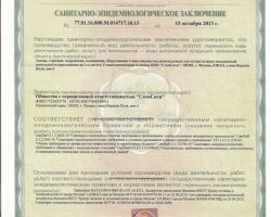 Моисеева Анна Валерьевна 2