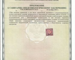 Моисеева Анна Валерьевна 3